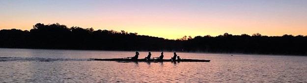 Rowing sunset